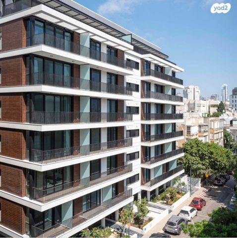 אנטיגונוס 13