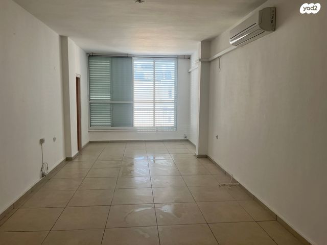 ברודצקי אשר 24