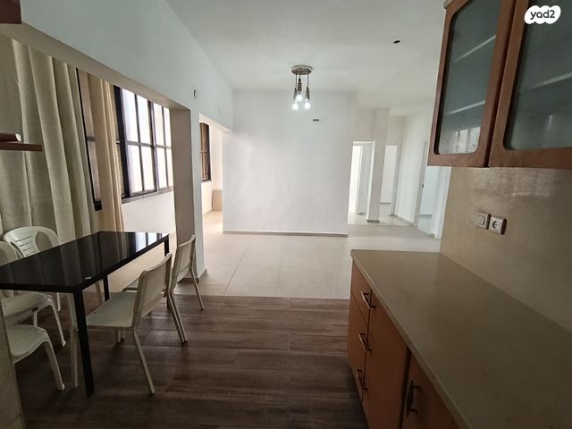 אהרון קציר 8