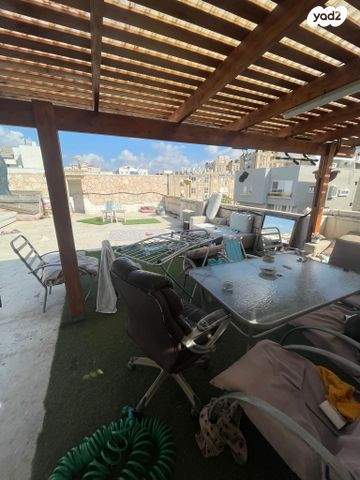 צבי הרמן שפירא 1