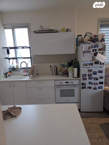 ארזי הלבנון 19