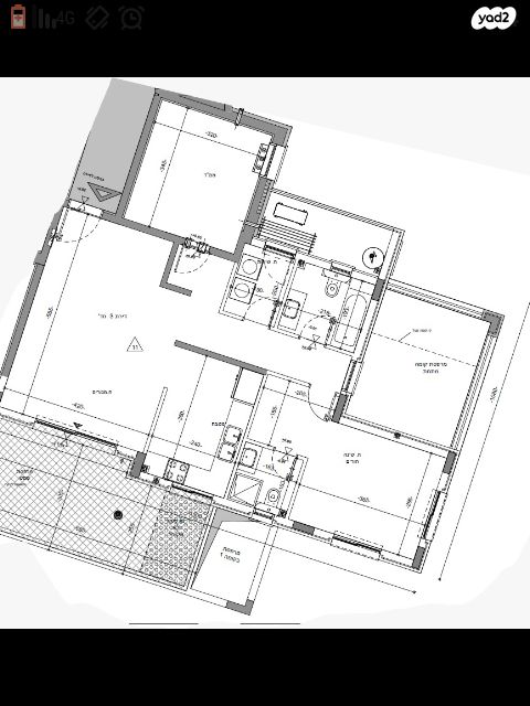 רועי קליין 11