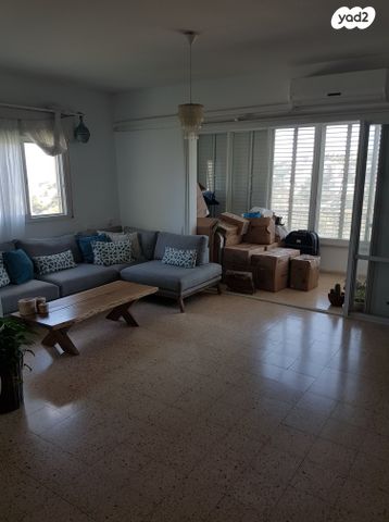 שושנת הכרמל 82