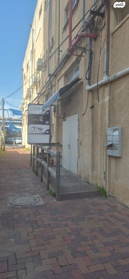 אלכסנדר ינאי 3