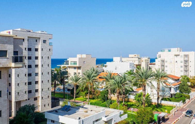 עיר, מרכז העיר