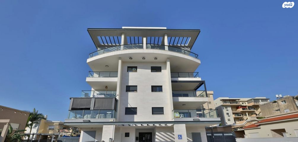 יעקב שטיינברג 