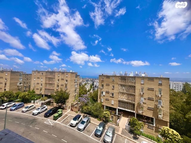 יהודה בורלא 