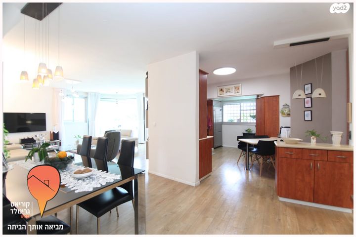 אלכסנדר סשה ארגוב 