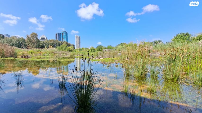 גג/ פנטהאוז