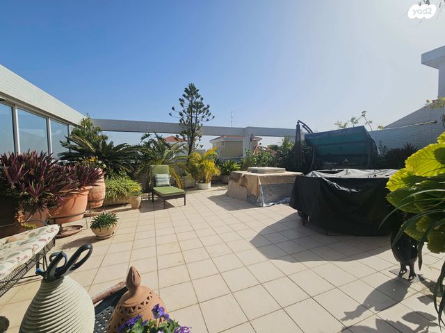 יהודה בורלא 5