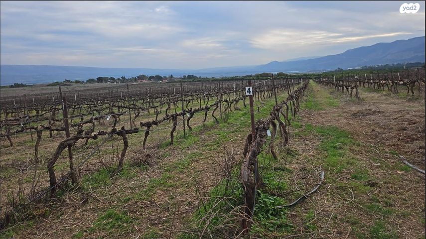 משק חקלאי/ נחלה