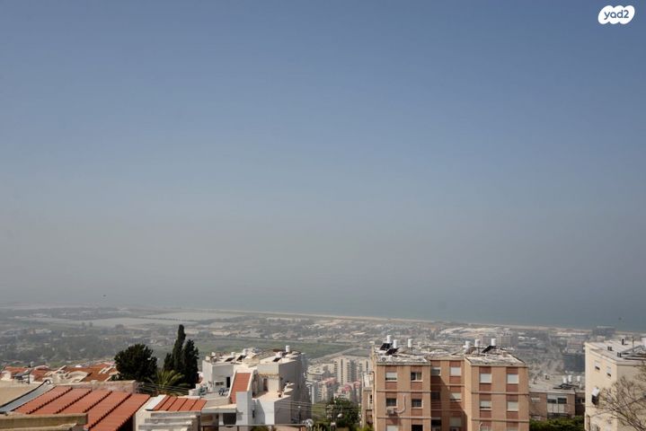 הרופא זלוצ'יסטי 