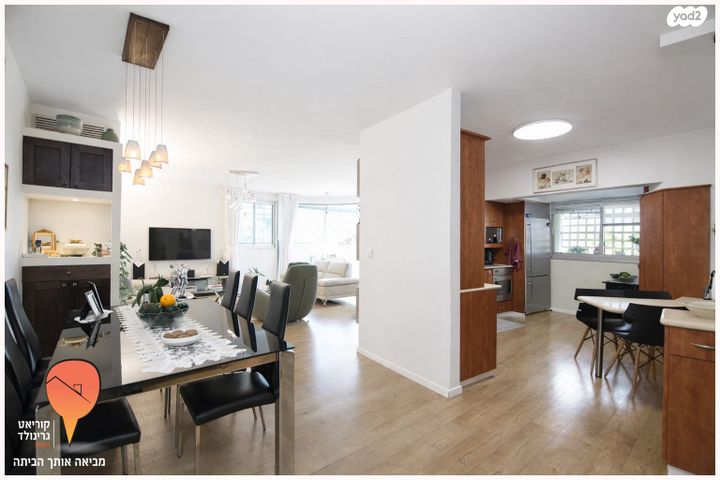 אלכסנדר סשה ארגוב 