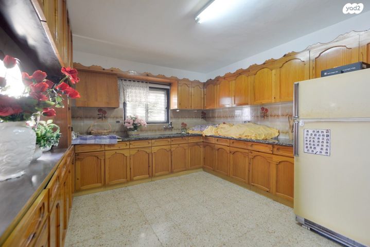 הרופא זלוצ'יסטי 