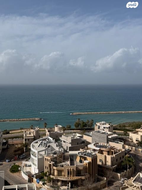 פייר קניג 11