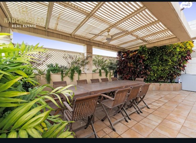 אלכסנדר סשה ארגוב 6