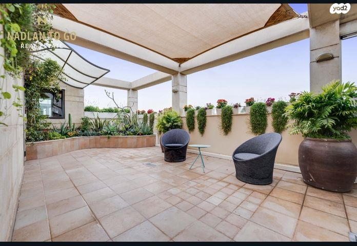 אלכסנדר סשה ארגוב 6