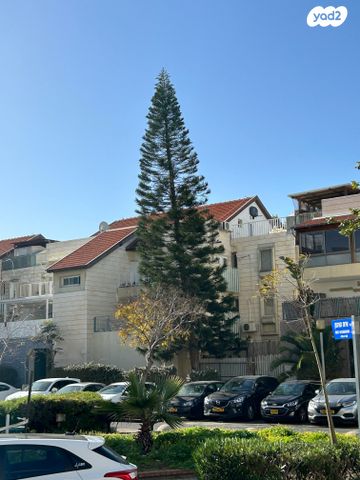 אירוס הארגמן 