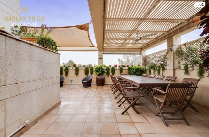 אלכסנדר סשה ארגוב 6