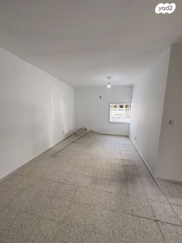 אליעזר הופיין 4