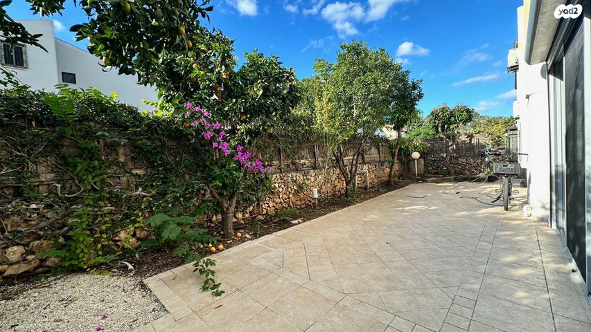 מרדכי אלקחי 