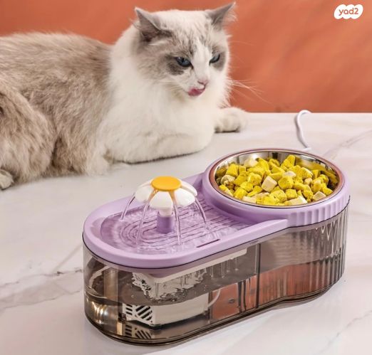 תמונת מודעה - חיות מחמד