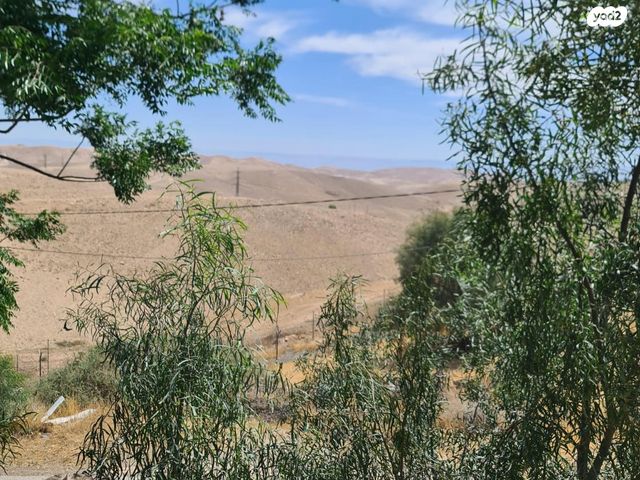 גבעת המייסדים 1