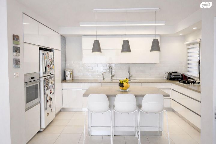 עמנואל זמיר 4