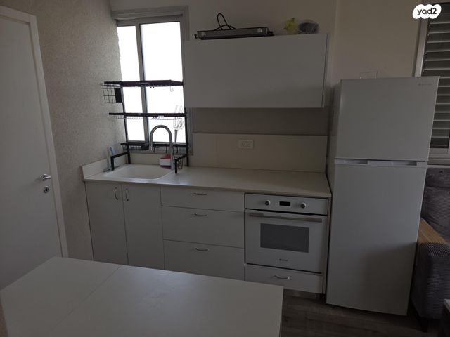 ארזי הלבנון 19