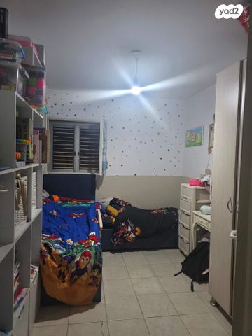 בכור שטרית 2