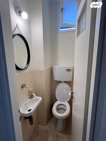 הרב הרצוג 11