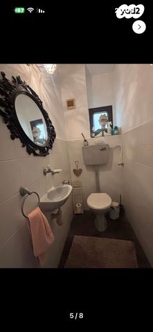 שאול אביגור 7