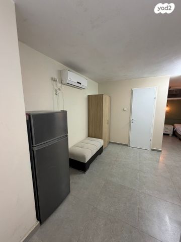 דוד וולפסון 15