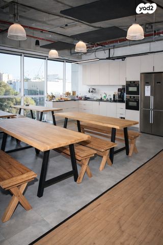 יגאל אלון 55