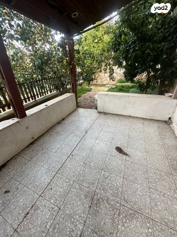 ששת הימים 11