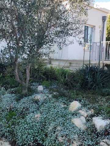 בית פרטי/ קוטג'