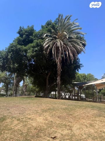 אליעזר קשאני 