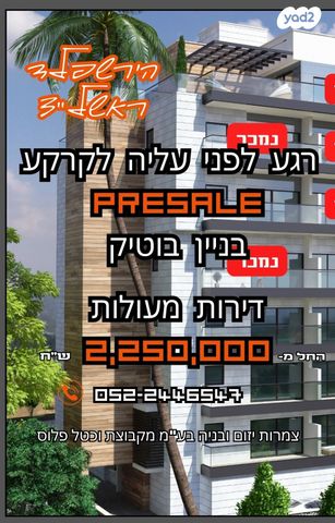 צבי הירשפלד 4