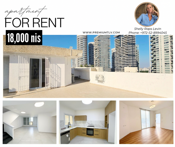 הצפון החדש - כיכר המדינה