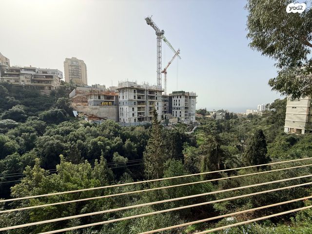 דוד בר רב האי 