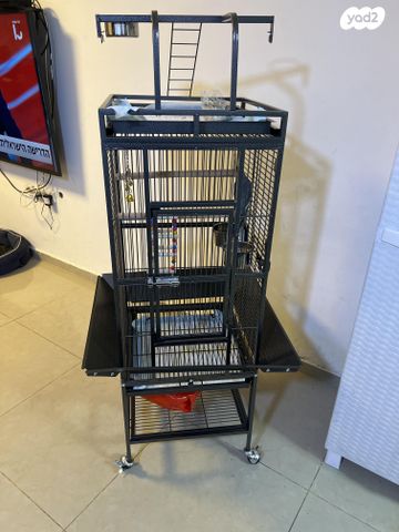 תמונת מודעה - חיות מחמד