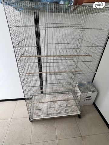 תמונת מודעה - חיות מחמד