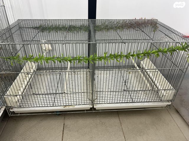 תמונת מודעה - חיות מחמד