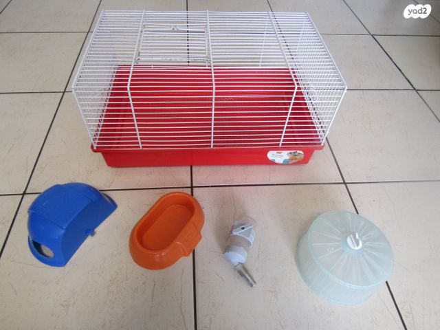 תמונת מודעה - חיות מחמד