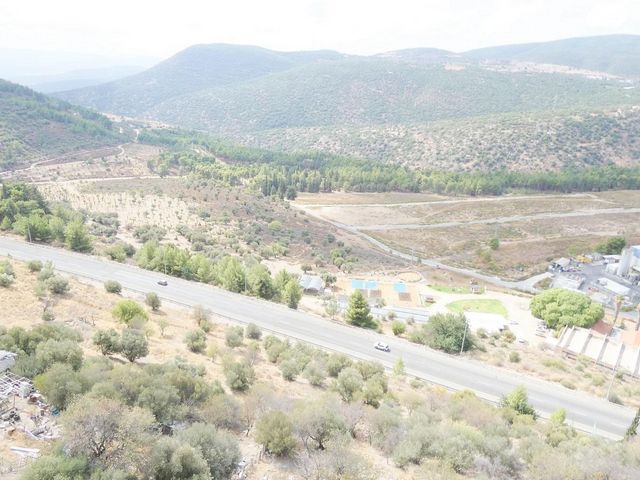 דוד אלעזר 214