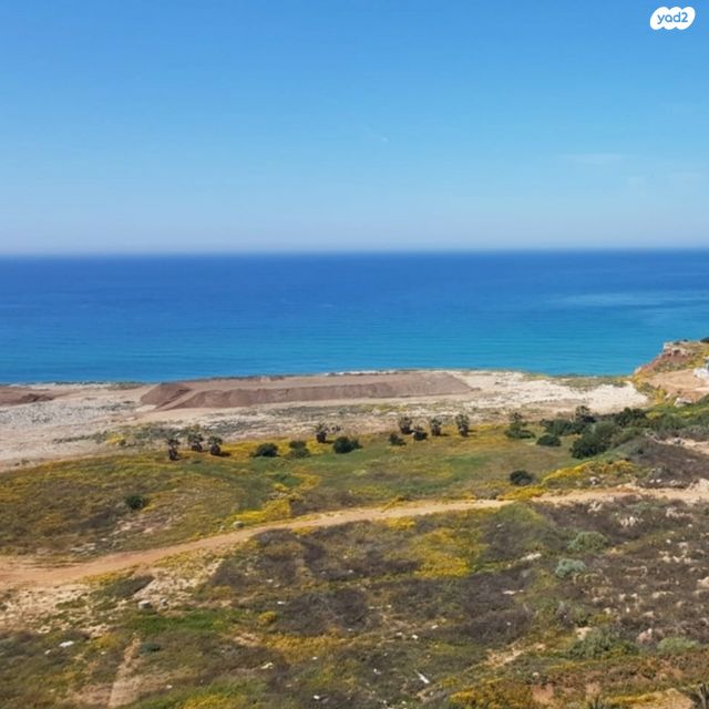 שדרות בן גוריון 143