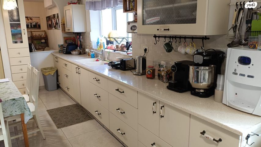 שבעת המינים 14