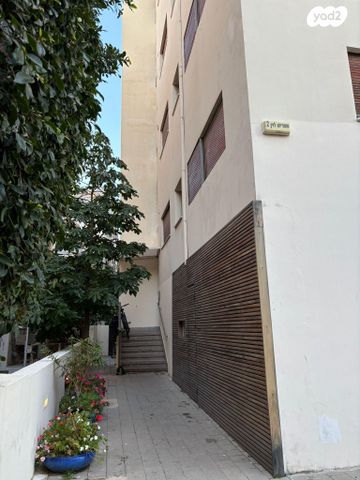 שמריהו לוין 2