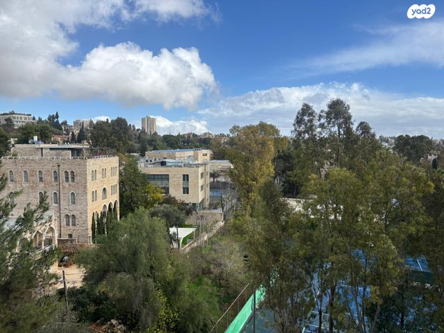 דוד אלרואי 5