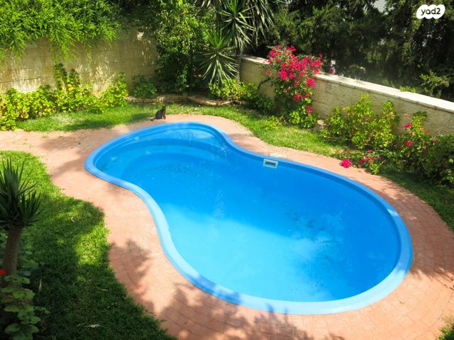 משעול הדקלים 33